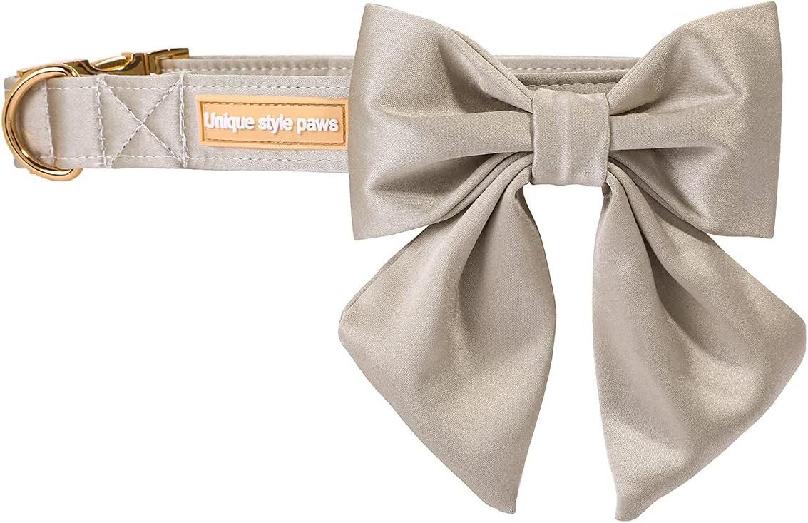 Guinzagli & Collari: schickes Halsband und Leine – Usato da Gossau SG venduto da web_kz7p 3