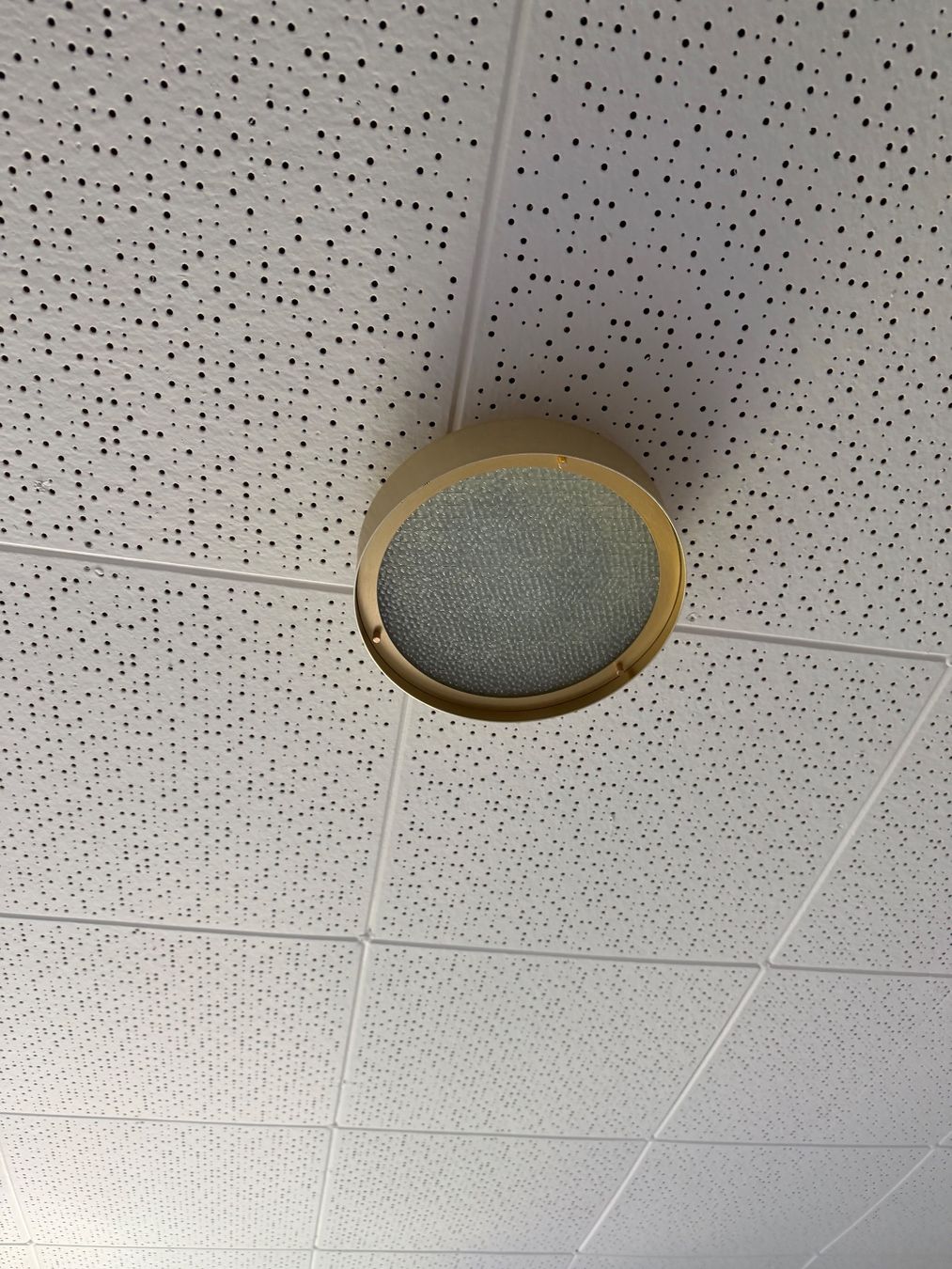 Oluce Lampadari & plafoniere: Oluce - Berlin Wand- und Deckenleuchte, Ø 30cm – Usato da Zürich venduto da schmidistef 2