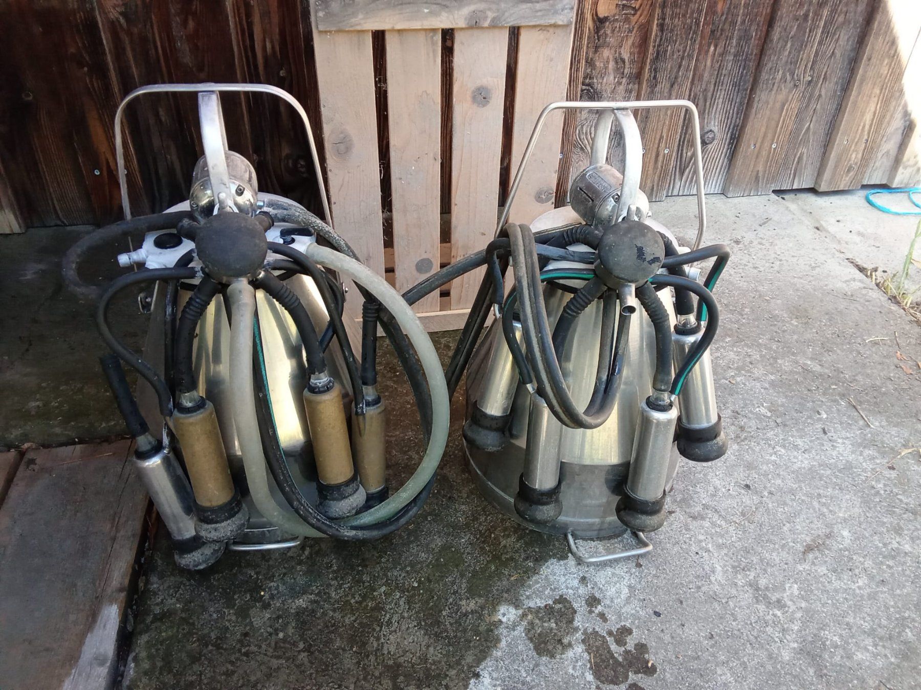 Alle Maschinen: Standeimer Westfalia – Gebraucht aus Turbenthal von Tish_77