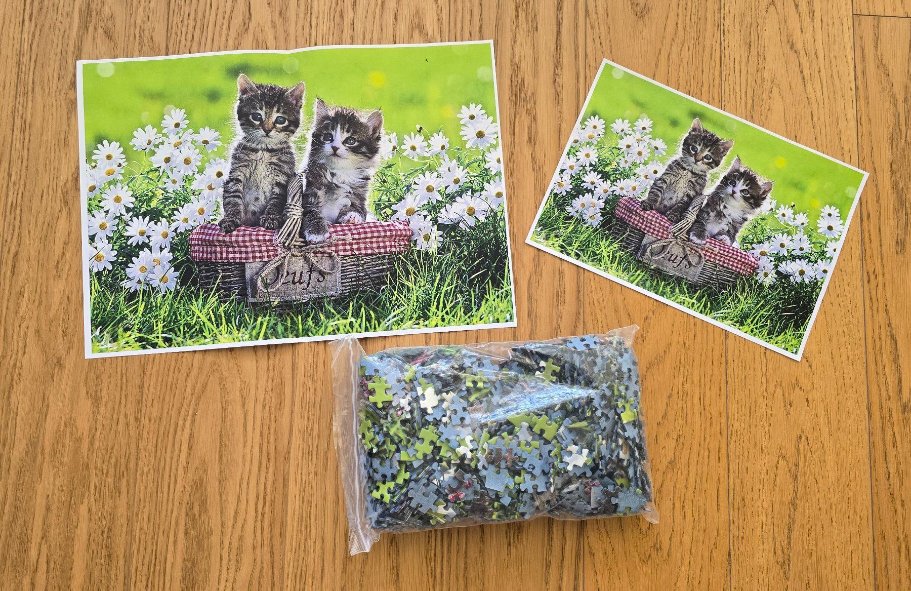 Ravensburger Puzzles: Puzzle "Picknick auf der Wiese" – Gebraucht aus Wabern von Irakene 1