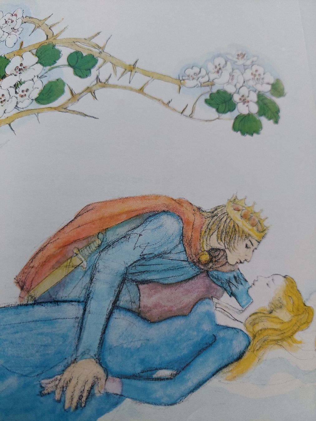 Bücher: 6 Kinderbücher  – Gebraucht aus Zetzwil von lanst08 5