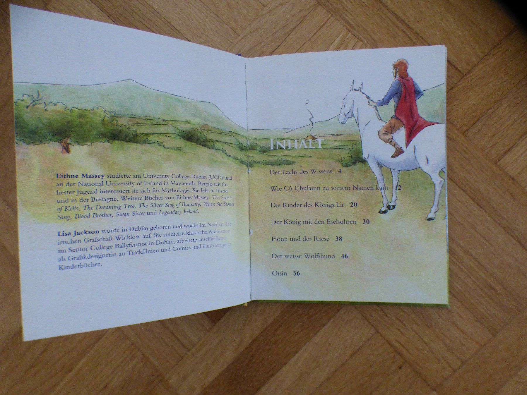 Bücher: Irische Sagen – Gebraucht aus Münchenbuchsee von enzian59 2