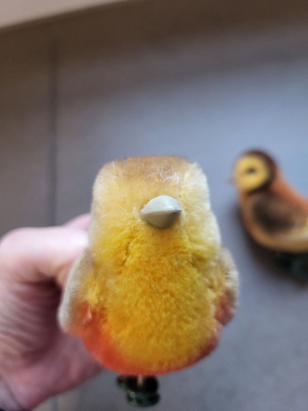 Steiff Giocattoli: Steiff Vögel – Nuovo (secondo la descrizione) da Zürich venduto da Orchidee 6
