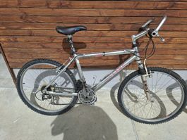 Mountainbike