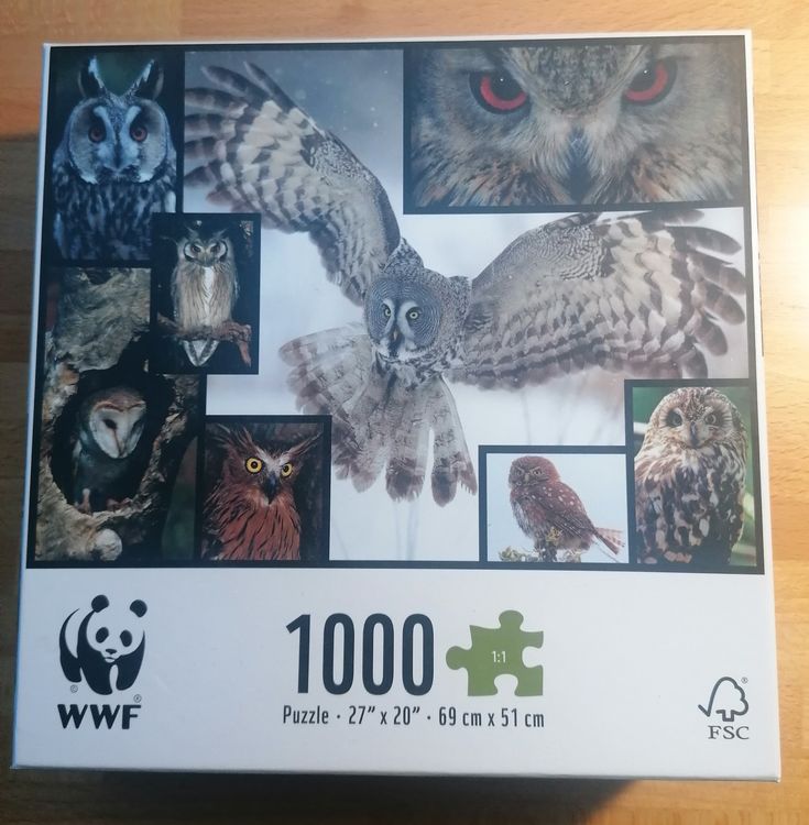 Eulen-Puzzle 1000 Teile - Buntglas-Motiv, Bunte Dekoration Für Erwachsene
