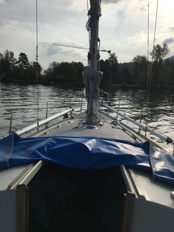 segelboot zürichsee kaufen