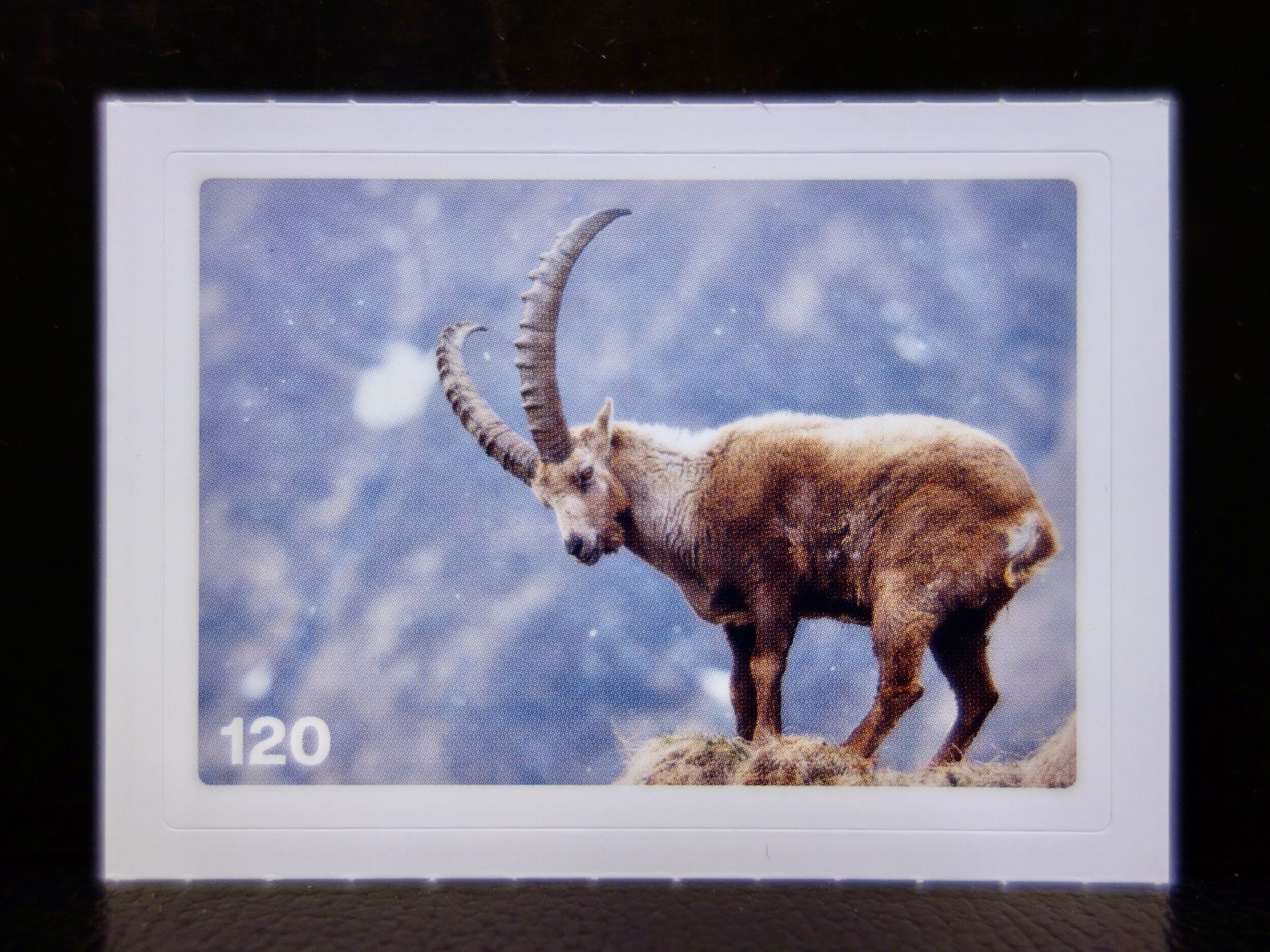 Migros Carte collezionabili: MIGROS MANIA Nature Detectives Nr. 120 – Usato da Kerzers venduto da djstarsky73