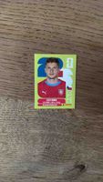 Panini Sticker DAVID ZIMA like_new