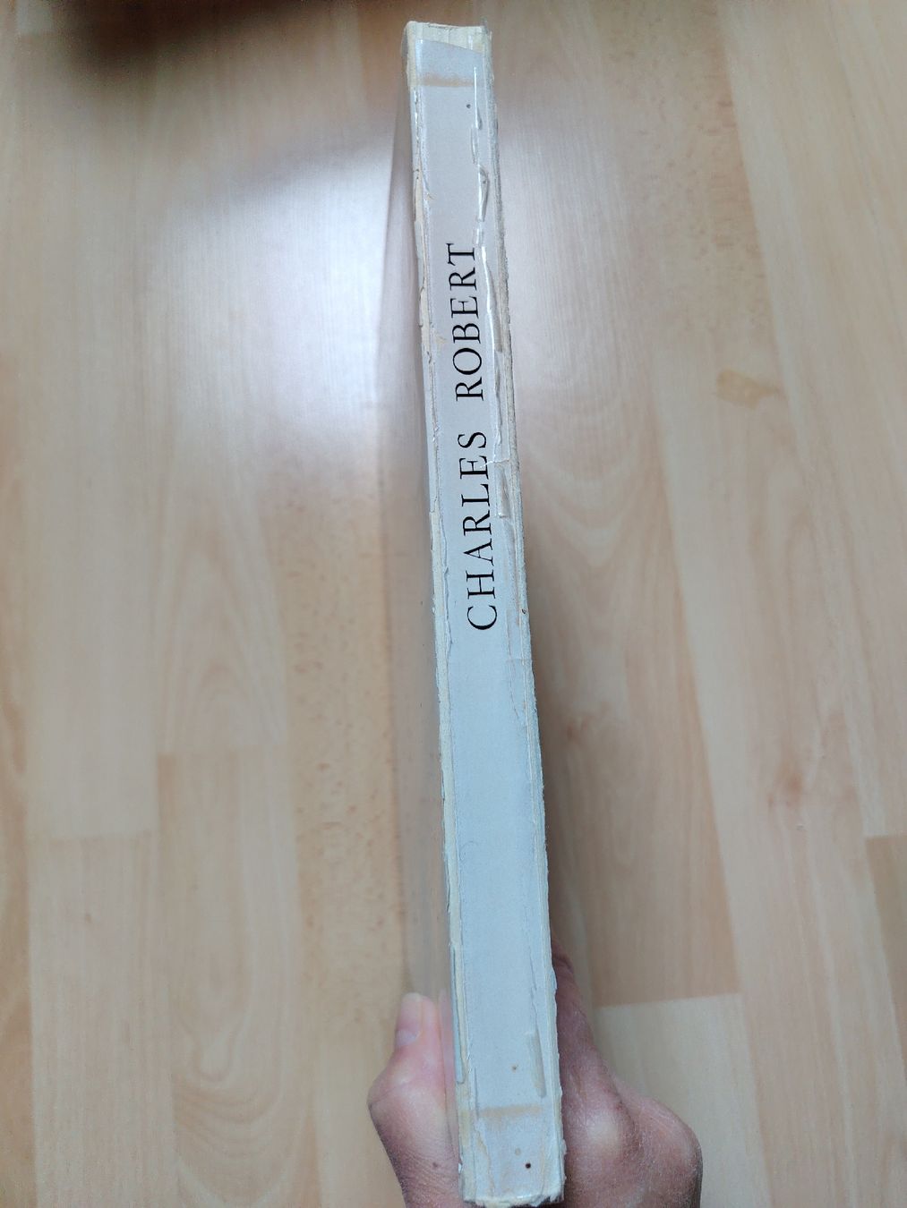 Libri: Charles Robert: Peintre et Graveur - Édition  numérotée – Usato da Le Locle venduto da Oldthingslover 2
