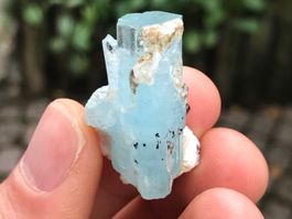 Aquamarin roh Kristall mit schwarzem Turmalin, Sammlerstück