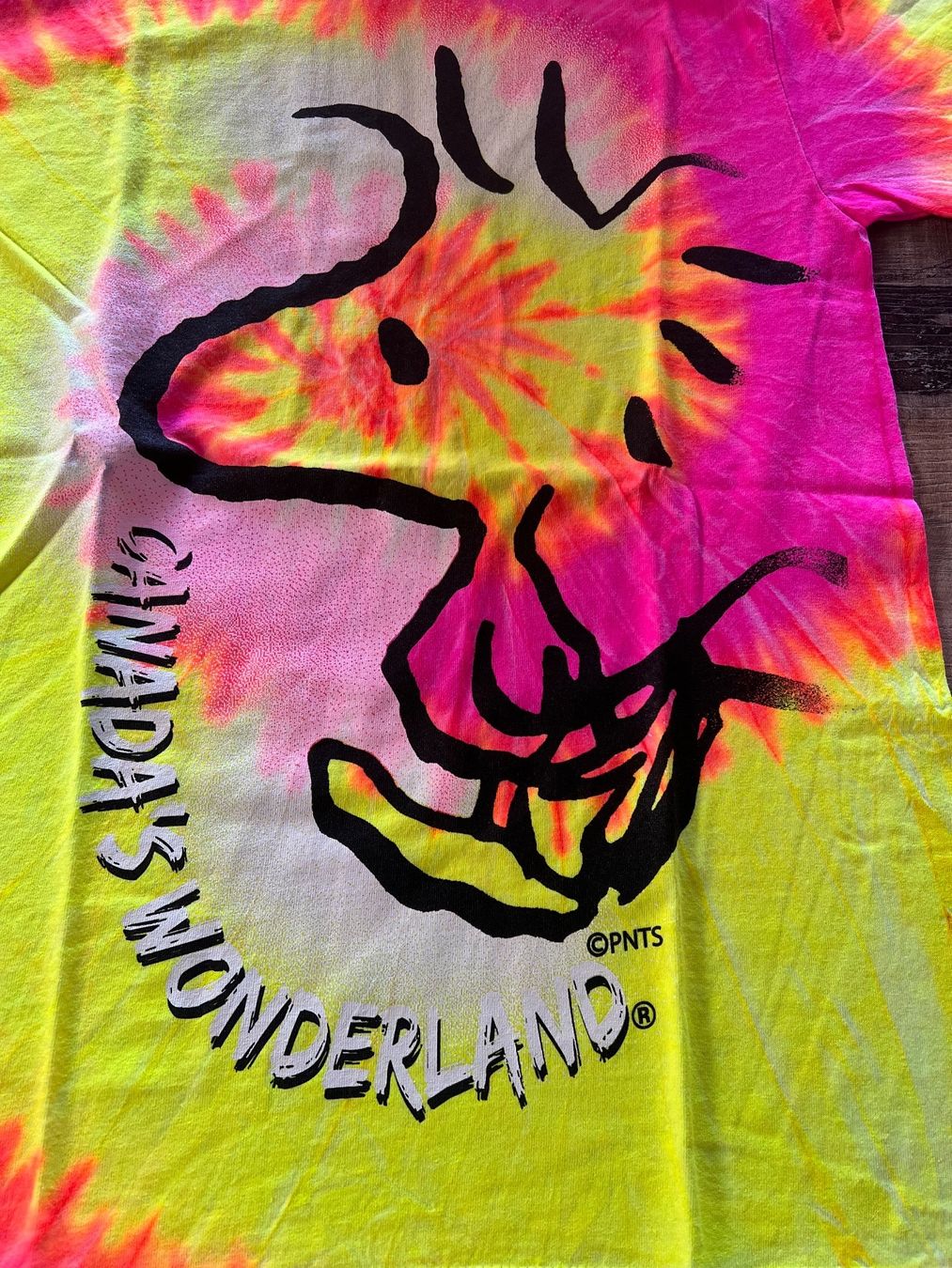 T-Shirts: T.shirt – Gebraucht aus Genève von Pingus2006 1
