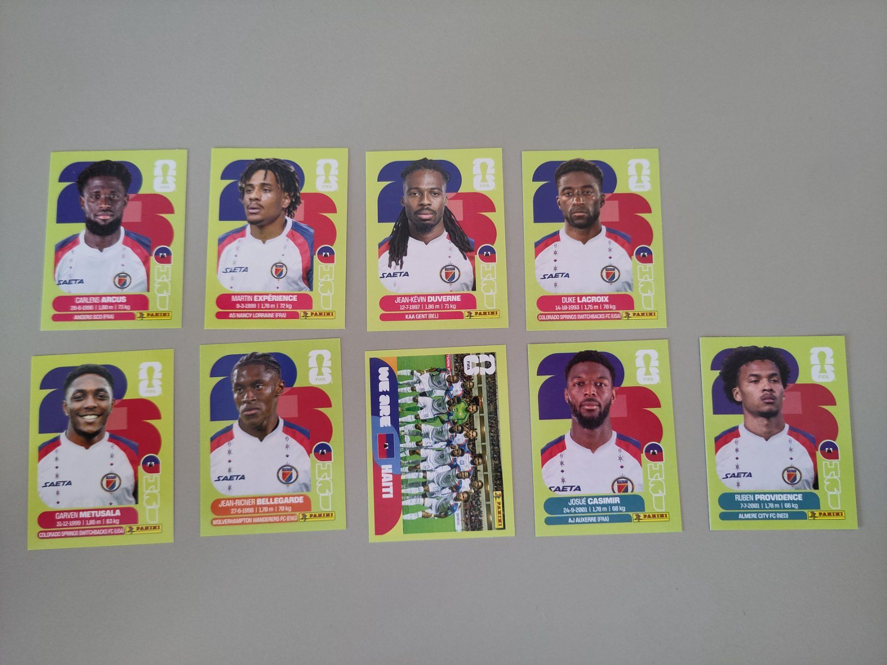 Panini Carte collezionabili: FIFA Panini Haiti (HAI) – Usato da Bern venduto da gil_rkx8