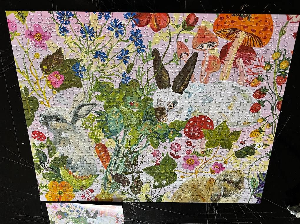 Puzzle: Puzzle 500 pièces – Usato da Begnins venduto da clemenfa 3