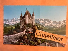 Thun - Schloss und Blümlisalp