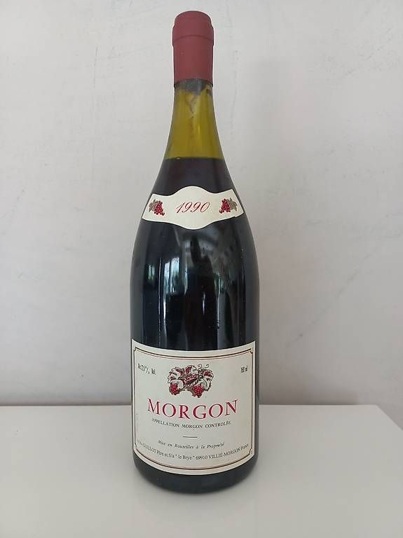 Vino: Vin Morgon 1990 – Usato da Ollon VD venduto da Timit