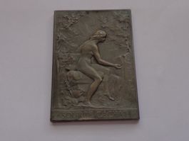 Plaque com. Meeting d'Evian 1907  M. Russel-Eynard (T. Rare)