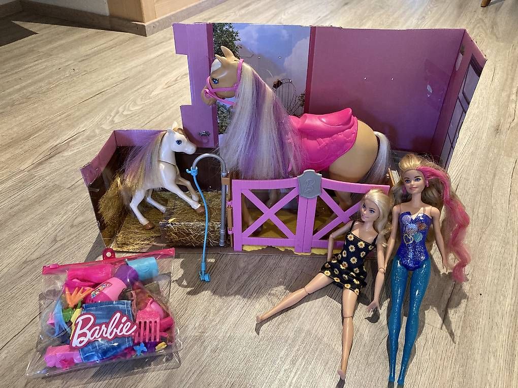 Spielzeuge: Barbie mit Pferd – Gebraucht aus Neuenegg von musikengel99