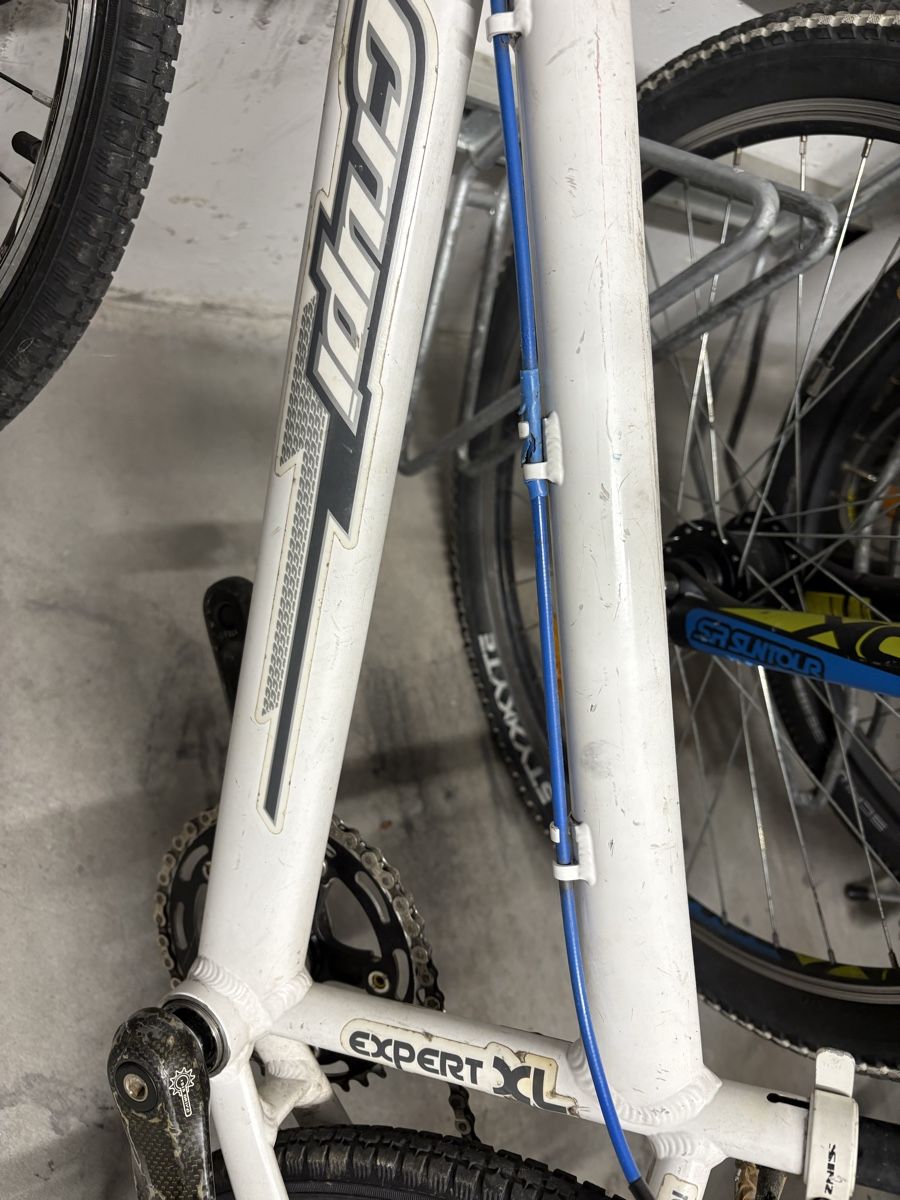 Biciclette: Crupi Expert XL BMX-Rad! – Usato da Winterthur venduto da D_Stoun 1
