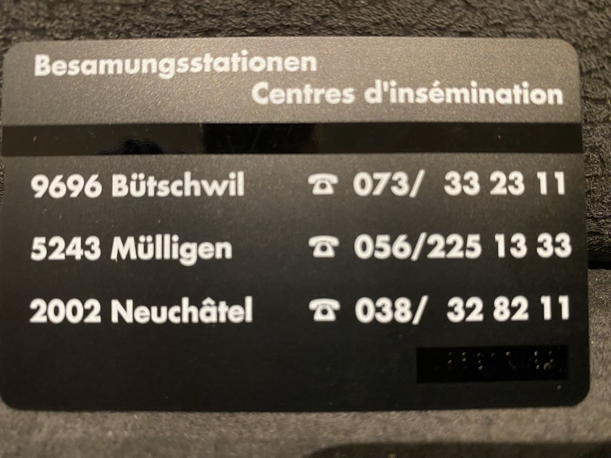 Cartes de téléphone: P-taxcard neuve  – Neuf (Voir description) à Lausanne par babacard10 1