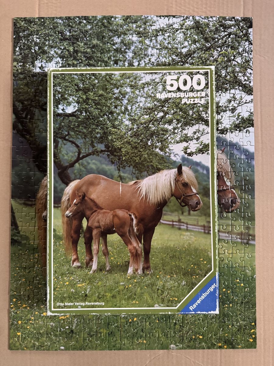 Ravensburger Puzzle: Puzzle 500 Teile – Usato da Stadel venduto da nicibaer08 1