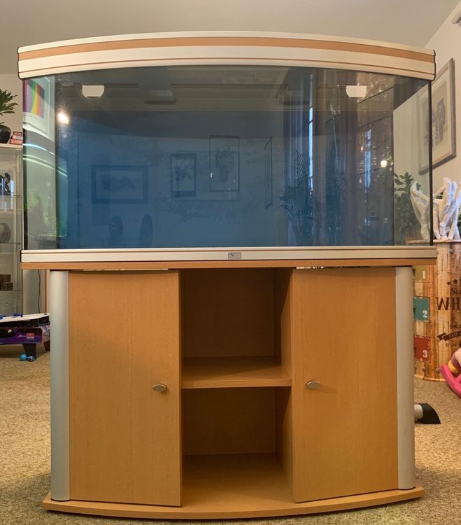 Panorama Aquarium 260 L Kaufen auf Ricardo