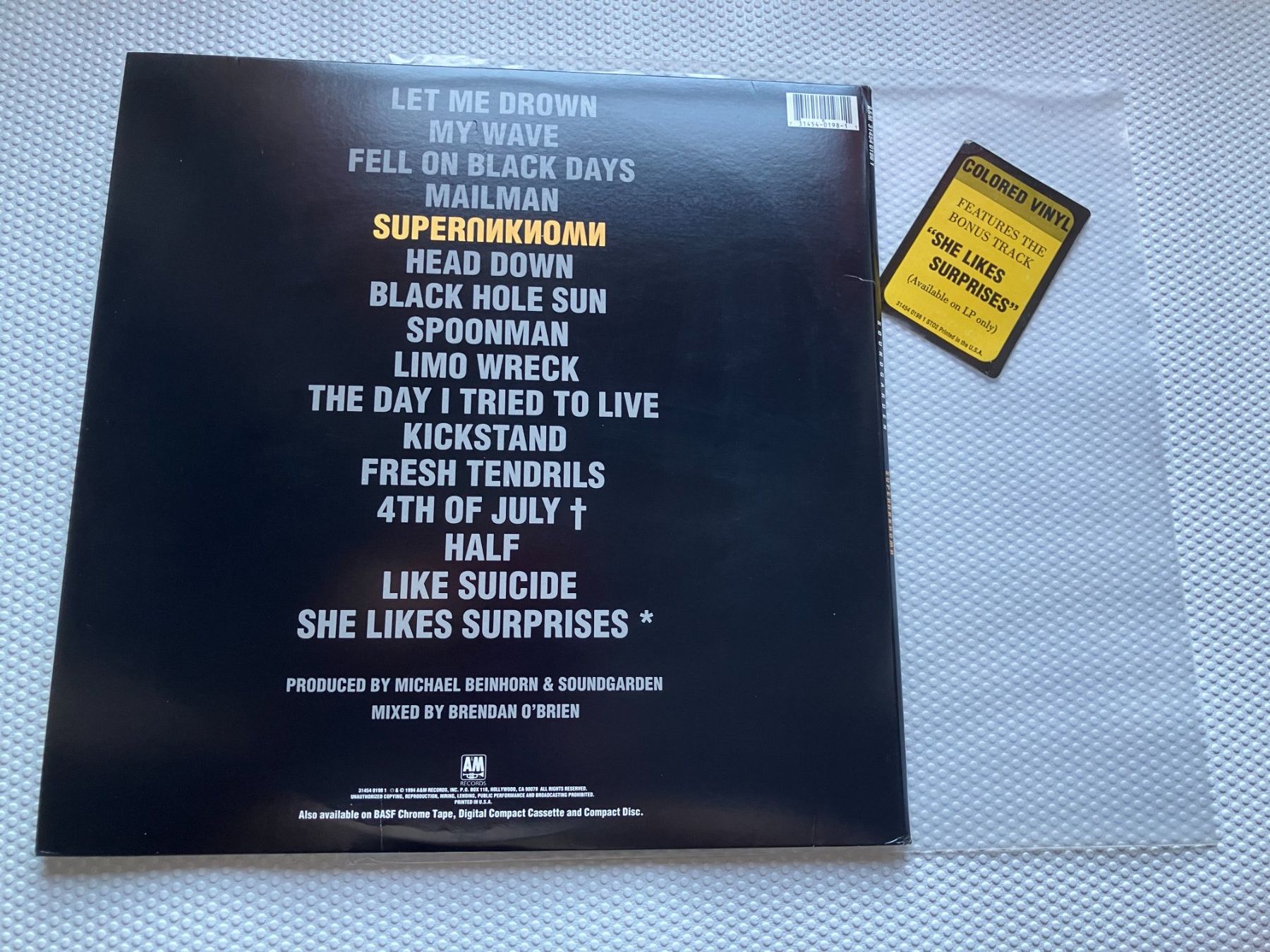 Dischi in vinile: Soundgarden – Usato da Aarwangen venduto da Jukebox3 1