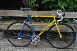 Peugeot Team Line 2000 – 9,9 kg - Columbus Rahmen