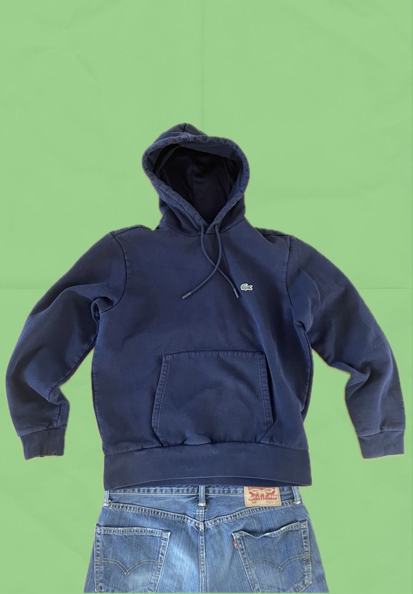 Lacoste Maglioni & Felpe: Lacoste Pullover L/M blau – Usato da Baden venduto da gcr_w8ft