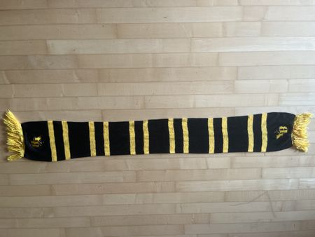 BSC Young Boys YB Schal Halstuch