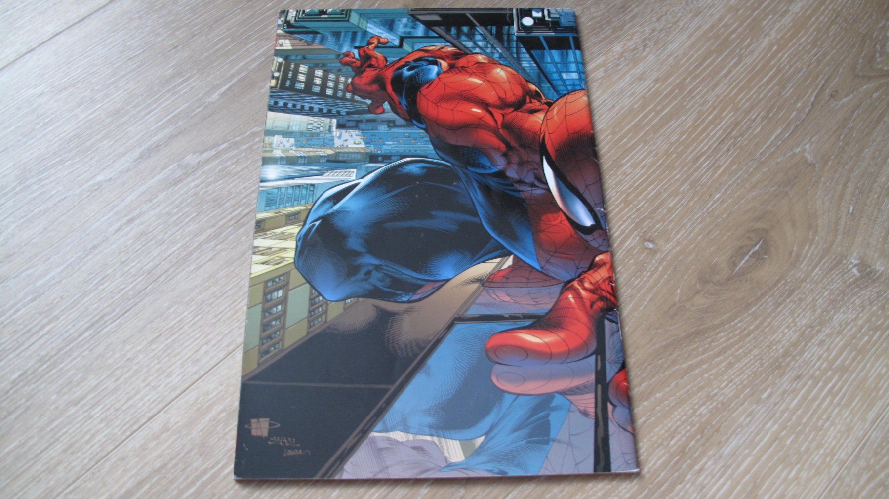 Fumetti: Spider-Man – Usato da Berg TG venduto da Volker-Kampfgarten 2