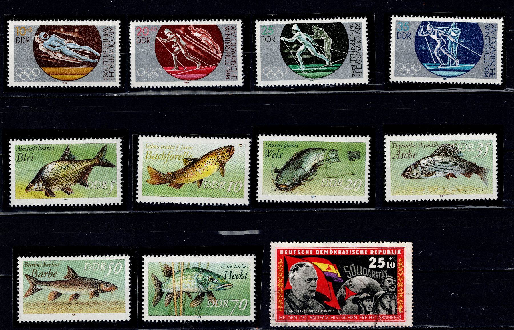 Tutti i francobolli: Briefmarken 11x DDR 20 – Usato da Tenniken venduto da mik_6mxg 2