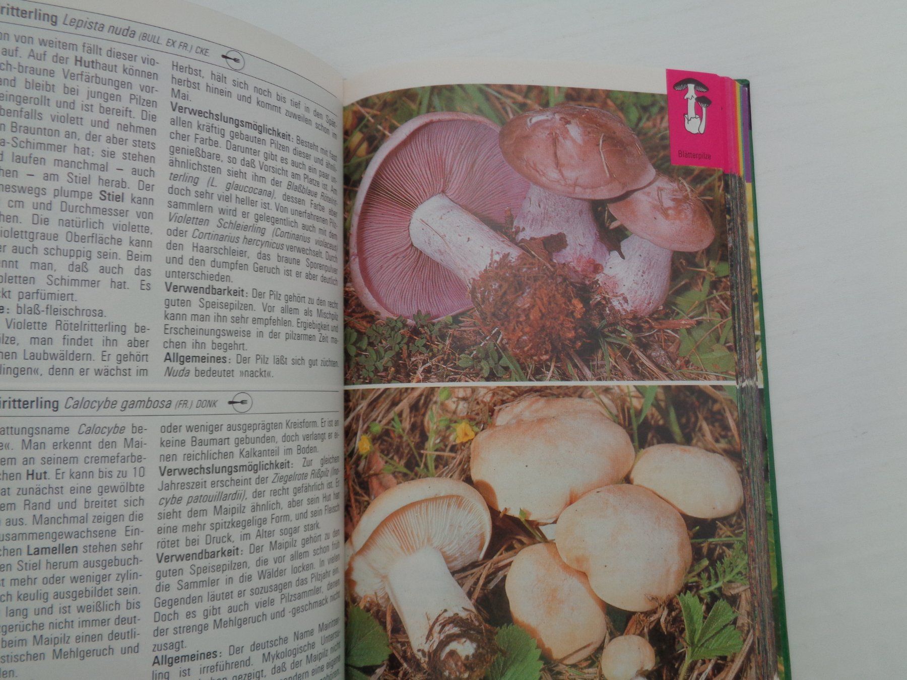 Libri: Pilze - die farbigen Naturführer – Usato da Chur venduto da Oregano1 4