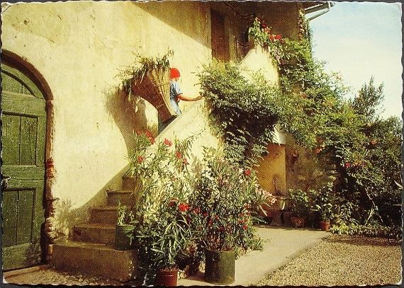 Cartoline postali: MENDRISIOTTO – Usato da Jona venduto da philajona