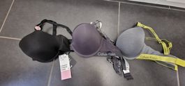BH Calvin Klein