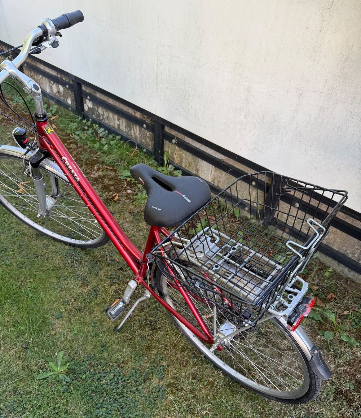 Cresta Biciclette: Cresta Damenvelo / Damenrad mit Korb – Usato da Etzgen venduto da juj_b678 3