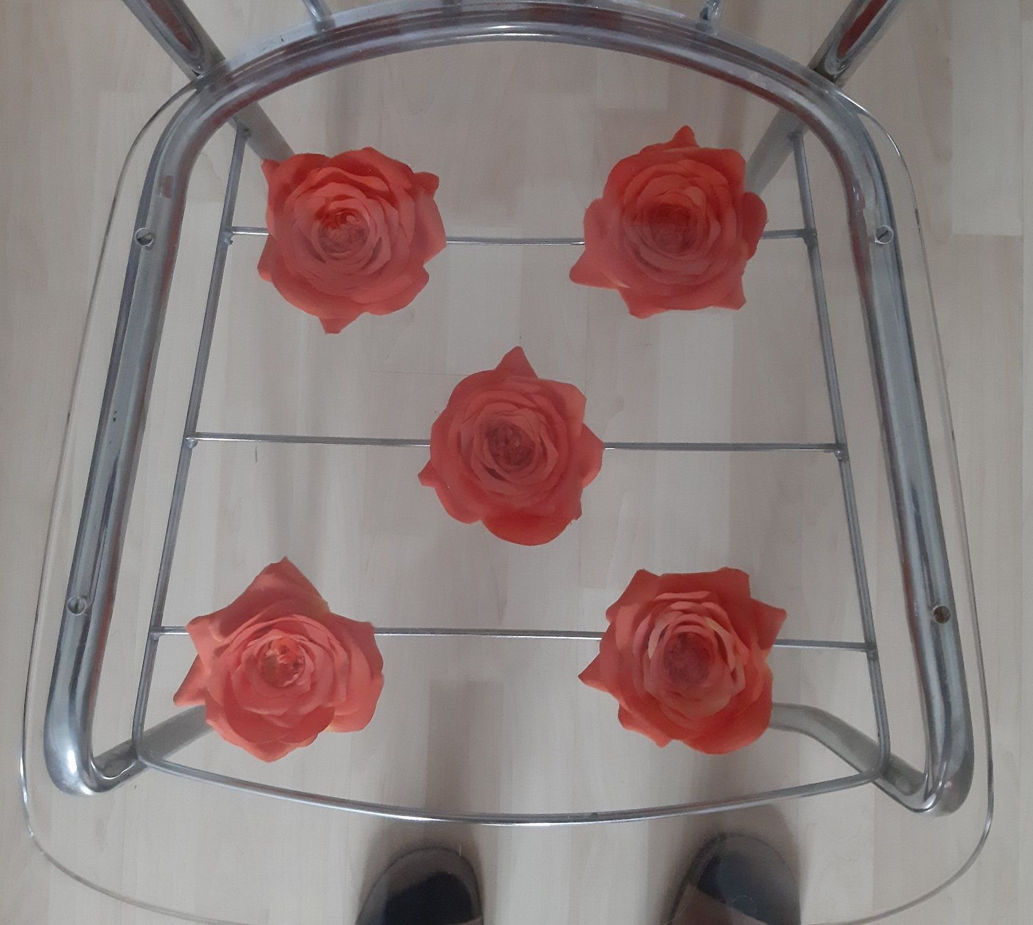 Sedie: 2 Stühle - auf Rosen gesessen – Usato da KREUZLINGEN venduto da sma_c5fz 2