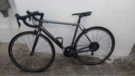 Rennvelo Canyon grau guter Zustand