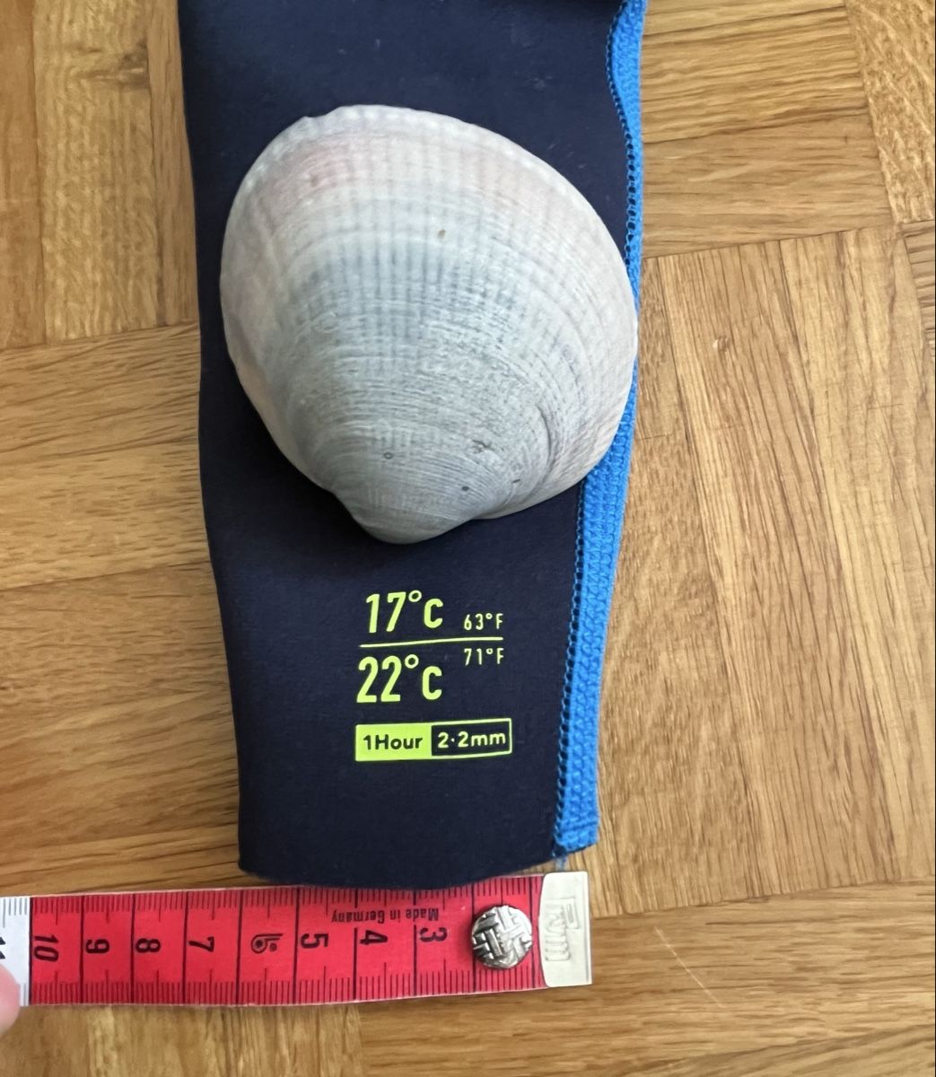 Decathlon Mute per immersioni: Combinaison Néoprène intégrale, 5-6 ans – Usato da Chernex venduto da mutzinet 2