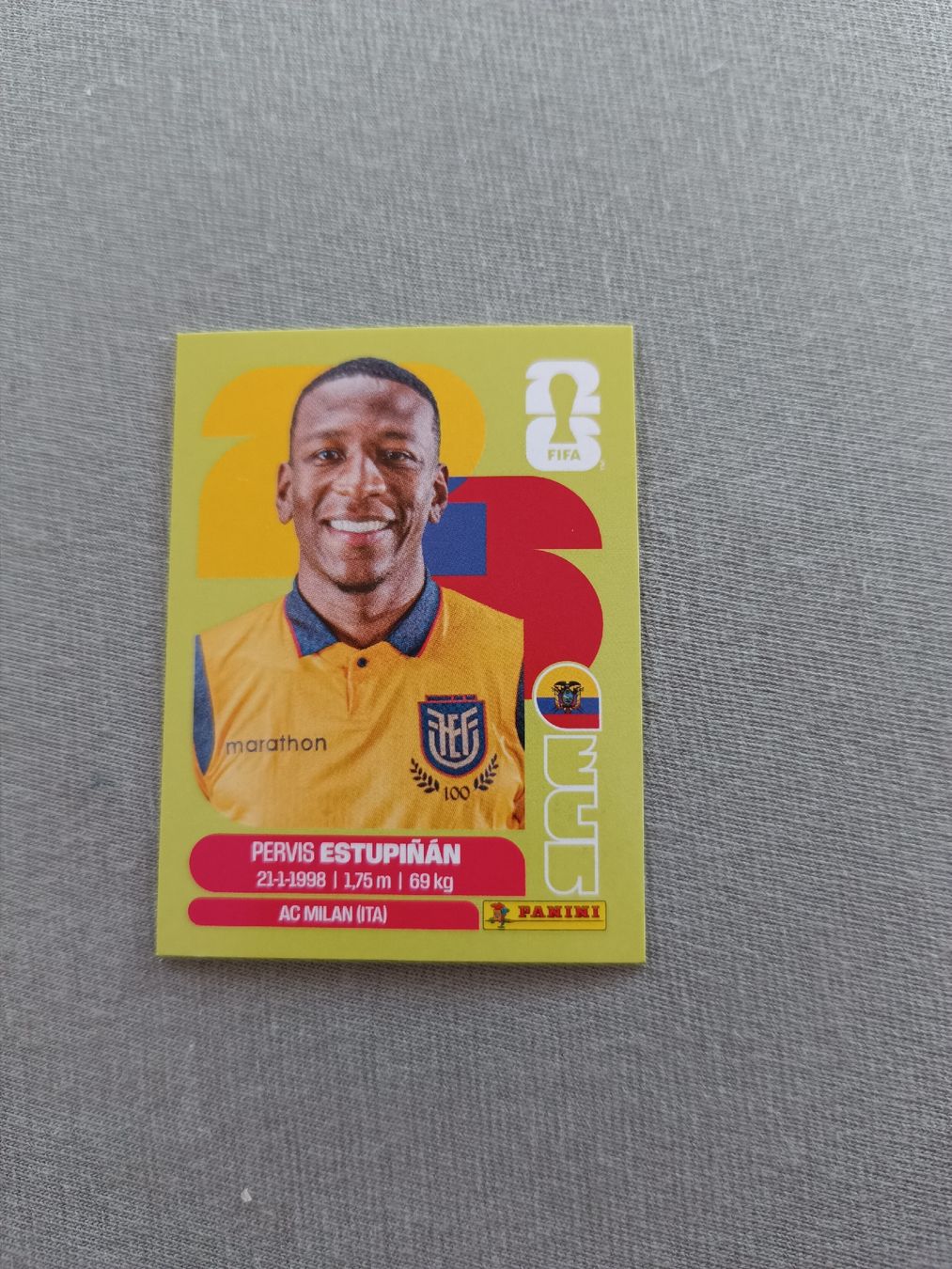 Panini Cartes à collectionner: Panini ECU5 – Neuf avec emballage d'origine à Muri AG par Puschelknuffel
