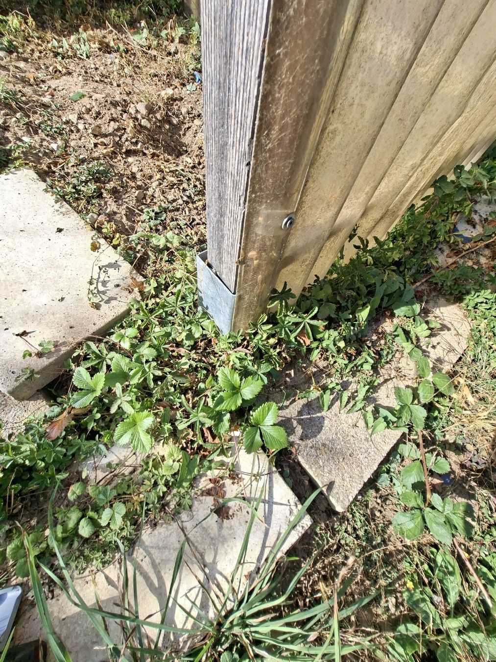 Gartenhäuser & Gewächshäuser: Gewächshaus Holz mit Wellplatten  – Gebraucht aus oberweningen von Roscar 3