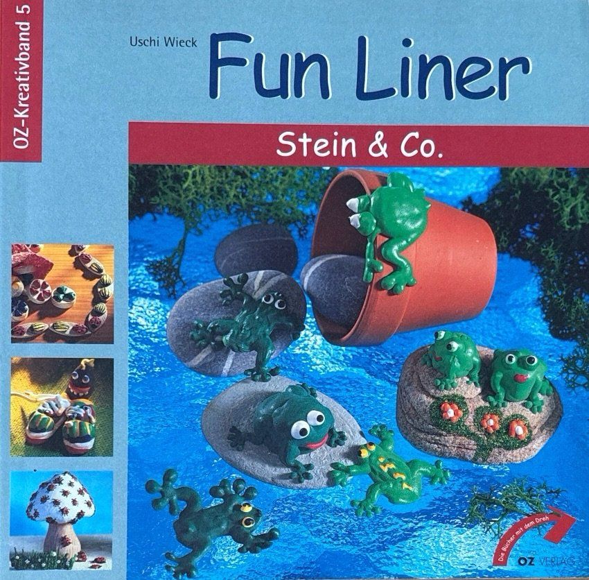 Libri: Fun Liner - Stein & Co. – Nuovo (secondo la descrizione) da Sarnen venduto da Livres