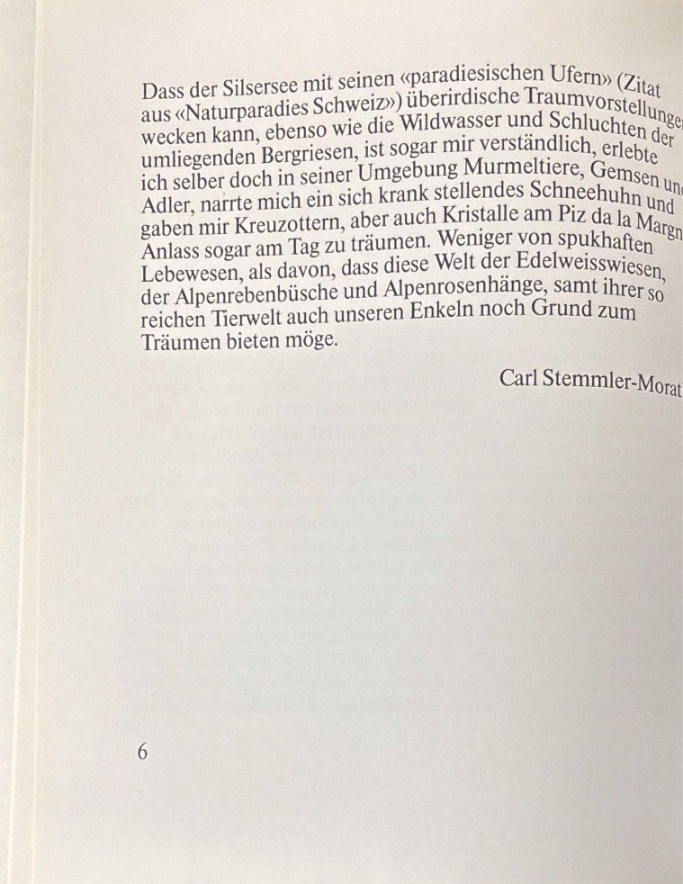 Libri: Irma Dorizzi, Der Silsersee erzählt – Nuovo (secondo la descrizione) da Sarnen venduto da Livres 5