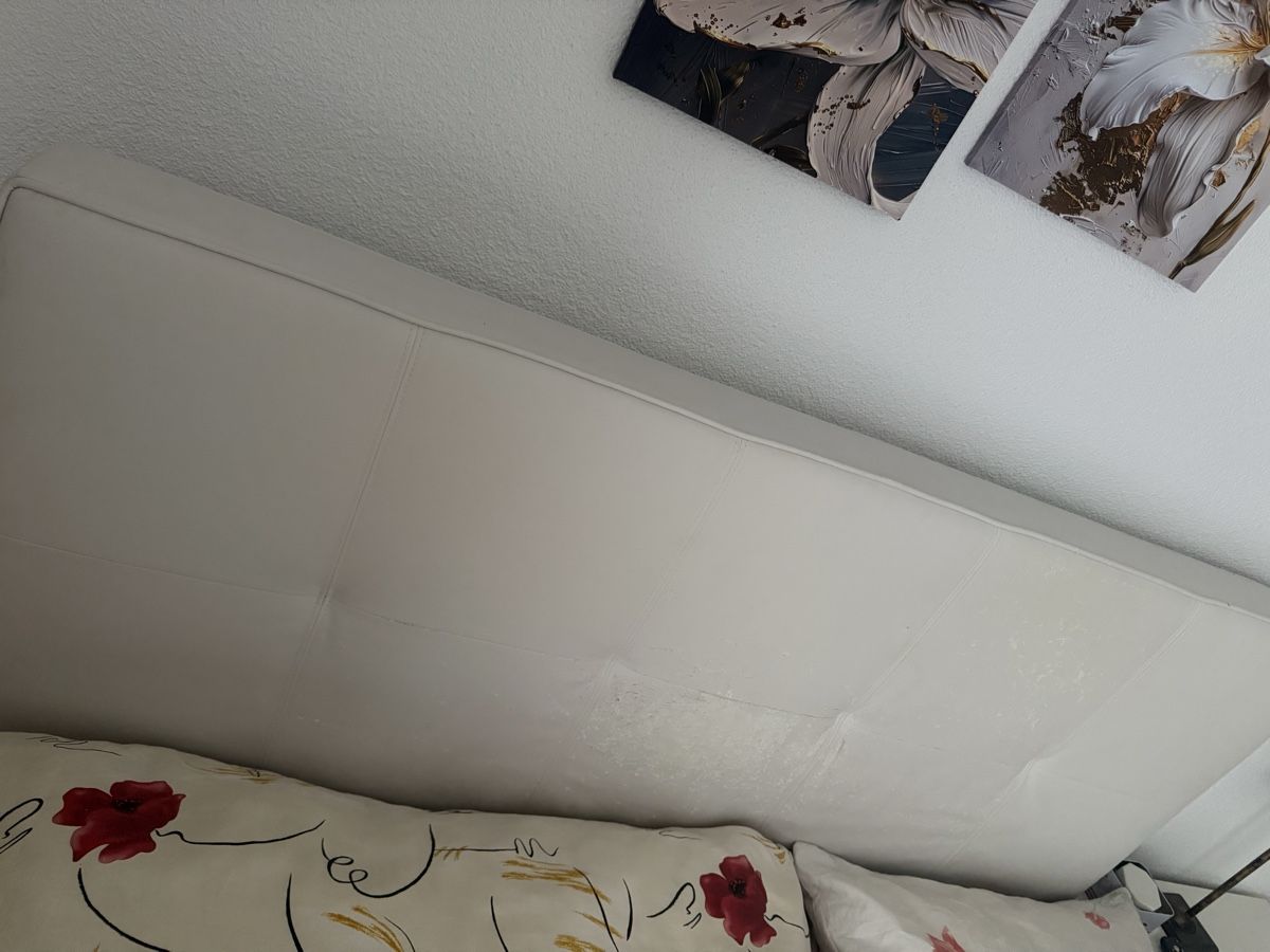 Letti: Boxspringbett Möbel Pfister – Usato da Steffisburg venduto da giu_l95n 3