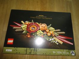 LEGO  10314 DRIED FLOWER CENTERPIECE  2023