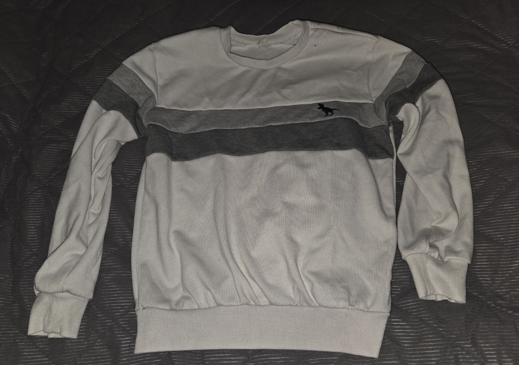 Pullover & Sweatshirts: Cooler Pullover mit Dino-Motiv, Grösse 9 Jahre – Gebraucht aus Utzenstorf von Ernie_und_Bert