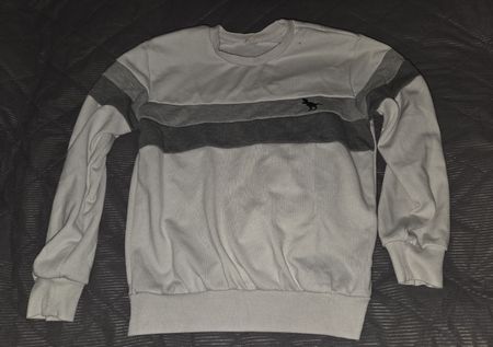 Cooler Pullover mit Dino-Motiv, Grösse 9 Jahre