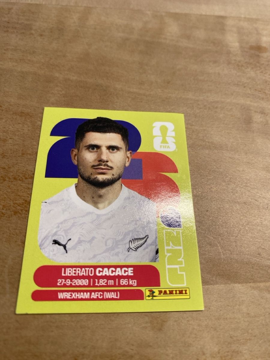 Panini Carte collezionabili: Panini Nzl 5 – Usato da schafisheim venduto da soni13