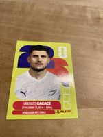Panini Nzl 5