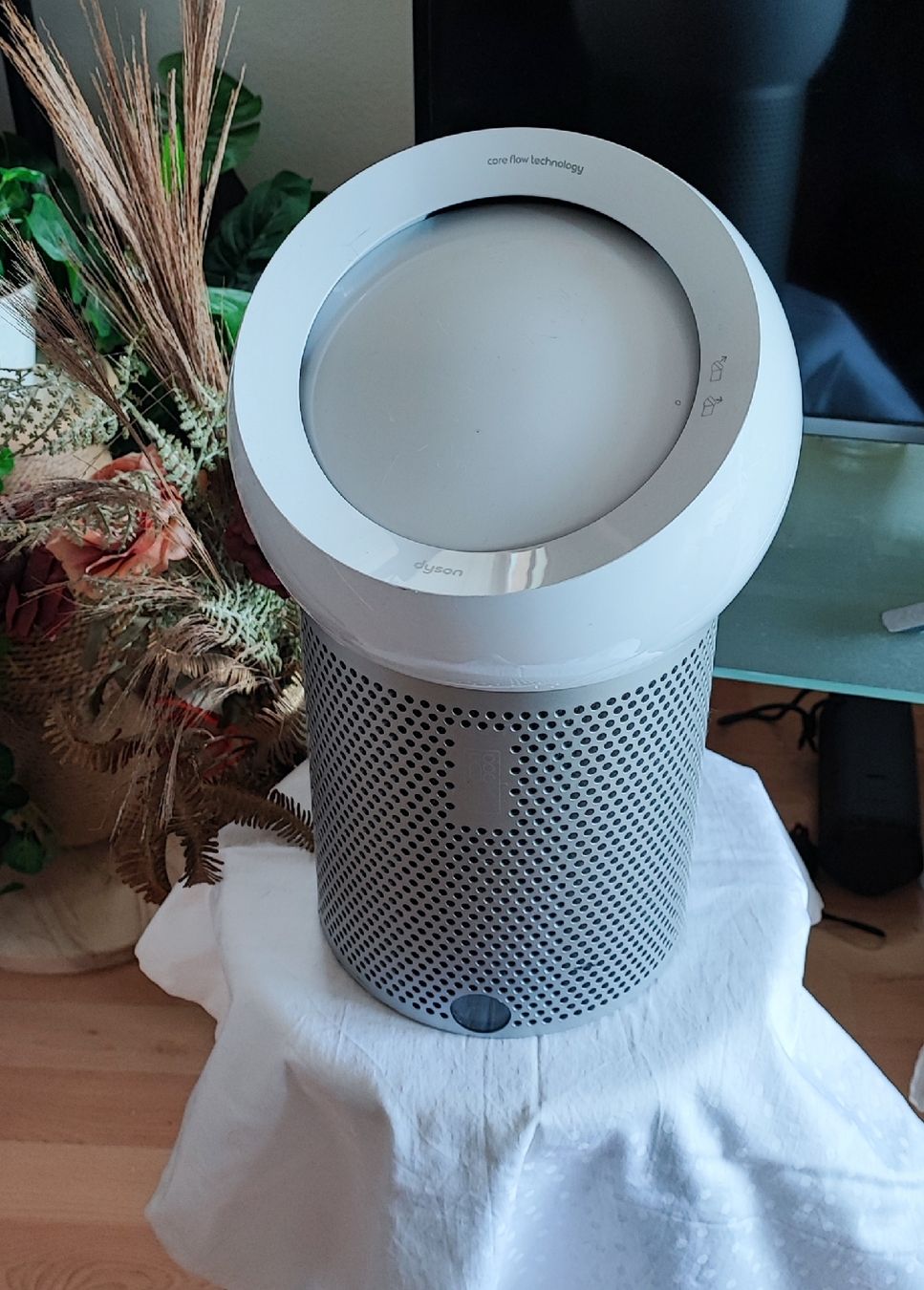Dyson Purificatori d'aria: Dyson Pure Cool Me Ventilator  und Luftreiniger – Usato da Zollikofen venduto da zar_j67f