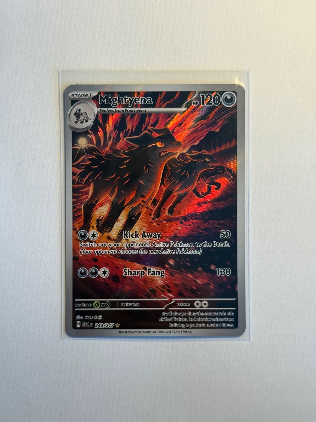 Pokémon Carte collezionabili: Pokémon Mightyena 243/217 – Usato da Münsingen venduto da mar_n5jw